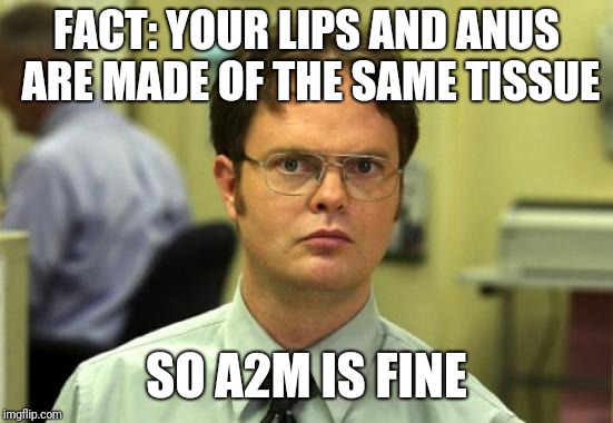 Dwight Schrute Meme | FACT: YOUR LIPS AND ANUS ARE MADE OF THE SAME TISSUE; SO A2M IS FINE | image tagged in memes,dwight schrute | made w/ Imgflip meme maker