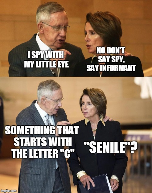  Meanwhile in Congress | NO DON'T SAY SPY, SAY INFORMANT; I SPY WITH MY LITTLE EYE; SOMETHING THAT STARTS WITH THE LETTER "C"; "SENILE"? | image tagged in harry and nancy | made w/ Imgflip meme maker