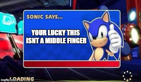 Sonic Says | YOUR LUCKY THIS ISNT A MIDDLE FINGER | image tagged in sonic says | made w/ Imgflip meme maker