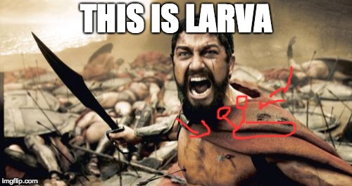 Sparta Leonidas | THIS IS LARVA | image tagged in memes,sparta leonidas | made w/ Imgflip meme maker