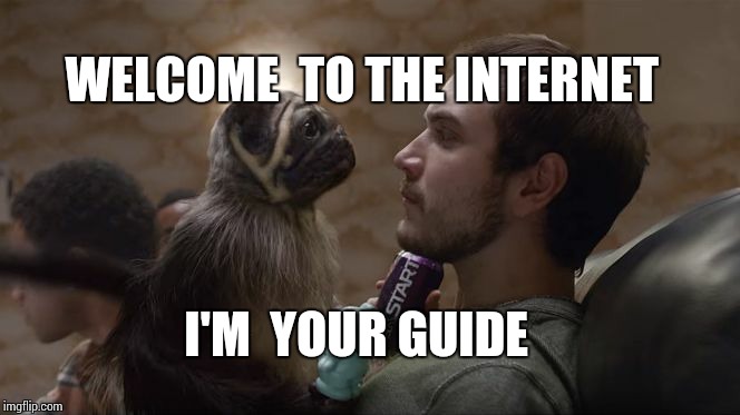 Puppy  monkey baby is your internet guide   | WELCOME  TO THE INTERNET; I'M  YOUR GUIDE | image tagged in puppy monkey baby,internet | made w/ Imgflip meme maker