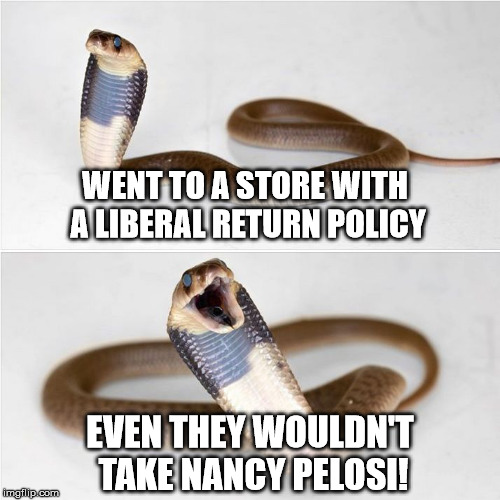 Liberal Returns? | WENT TO A STORE WITH A LIBERAL RETURN POLICY; EVEN THEY WOULDN'T TAKE NANCY PELOSI! | image tagged in cobra comedian,politics,nancy pelosi,humor,snake | made w/ Imgflip meme maker