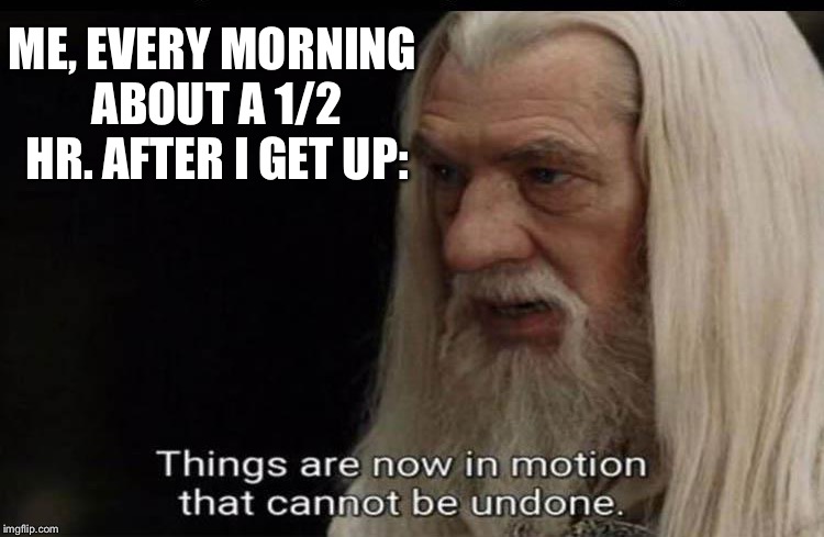 Morning constitutional. | ME, EVERY MORNING ABOUT A 1/2 HR. AFTER I GET UP: | image tagged in morning,constitutional,memes,funny | made w/ Imgflip meme maker