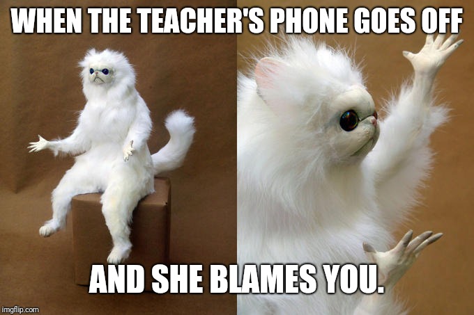 Persian Cat Room Guardian Meme | WHEN THE TEACHER'S PHONE GOES OFF; AND SHE BLAMES YOU. | image tagged in memes,persian cat room guardian | made w/ Imgflip meme maker