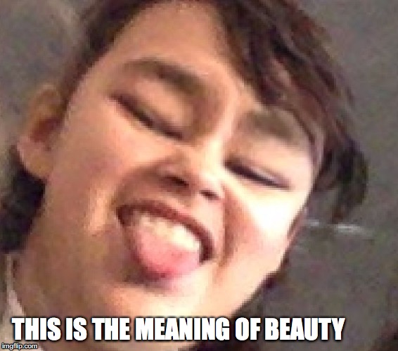 The Meaning | THIS IS THE MEANING OF BEAUTY | image tagged in the meaning | made w/ Imgflip meme maker