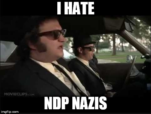 FOR YOU, TASLEEM RIAZ | I HATE; NDP NAZIS | image tagged in blues brothers illinois nazis,ndp,nazis | made w/ Imgflip meme maker