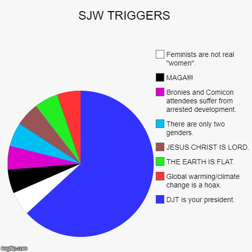 There are so many more, but they didn't all fit into the same pie... | SJW TRIGGERS | DJT is your president., Global warming/climate change is a hoax., THE EARTH IS FLAT., JESUS CHRIST IS LORD., There are only t | image tagged in funny,pie charts,sjw,trigger | made w/ Imgflip chart maker