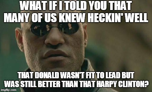 Matrix Morpheus Meme | WHAT IF I TOLD YOU THAT MANY OF US KNEW HECKIN' WELL THAT DONALD WASN'T FIT TO LEAD BUT WAS STILL BETTER THAN THAT HARPY CLINTON? | image tagged in memes,matrix morpheus | made w/ Imgflip meme maker