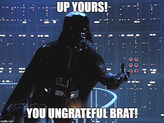 Darth Vader - Come to the Dark Side | UP YOURS! YOU UNGRATEFUL BRAT! | image tagged in darth vader - come to the dark side | made w/ Imgflip meme maker