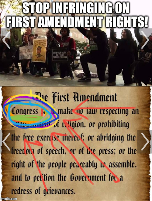 Just because you don't like something doesn't make it unconstitutional | STOP INFRINGING ON FIRST AMENDMENT RIGHTS! | image tagged in political meme,constitution,trump,colin kaepernick,nfl,protesters | made w/ Imgflip meme maker