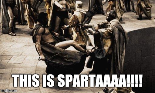 Sparta Kick | THIS IS SPARTAAAA!!!! | image tagged in sparta kick | made w/ Imgflip meme maker