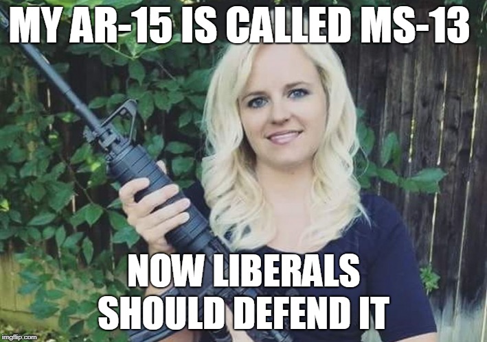 This or if Trump would tweet something mean about ARs  | MY AR-15 IS CALLED MS-13; NOW LIBERALS SHOULD DEFEND IT | image tagged in ar-15,ms-13,liberals,girls with guns,trump tweet,memes | made w/ Imgflip meme maker