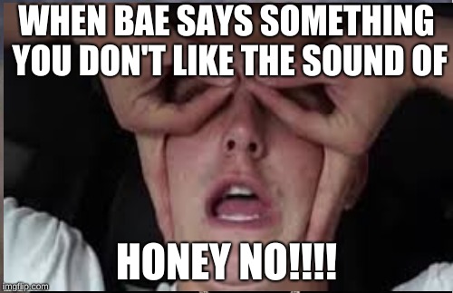 WHEN BAE SAYS SOMETHING YOU DON'T LIKE THE SOUND OF; HONEY NO!!!! | image tagged in jake paul memes,jake paul honey no memes | made w/ Imgflip meme maker