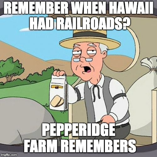 There was Once Railroads in Hawaii . . . (Really, No Joke) | REMEMBER WHEN HAWAII HAD RAILROADS? PEPPERIDGE FARM REMEMBERS | image tagged in memes,pepperidge farm remembers,hawaii,railroads | made w/ Imgflip meme maker