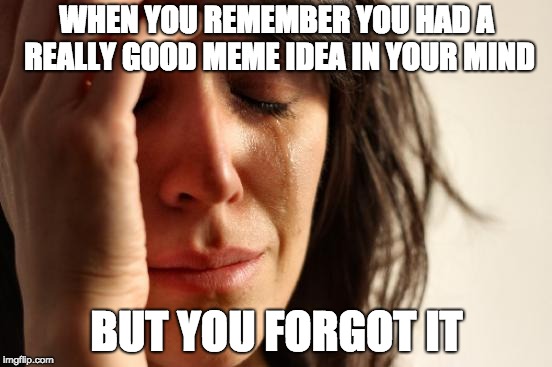 First World Problems Meme | WHEN YOU REMEMBER YOU HAD A REALLY GOOD MEME IDEA IN YOUR MIND; BUT YOU FORGOT IT | image tagged in memes,first world problems | made w/ Imgflip meme maker