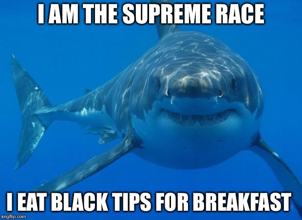 Blacktip reef sharks, not black people | I AM THE SUPREME RACE; I EAT BLACK TIPS FOR BREAKFAST | image tagged in straight white shark | made w/ Imgflip meme maker