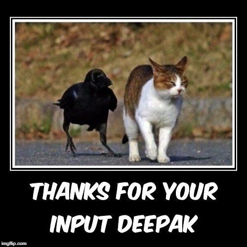 Cattitude of Platitude | . | image tagged in crow,cat,platitude,deepak,that face you make when,just wow | made w/ Imgflip meme maker