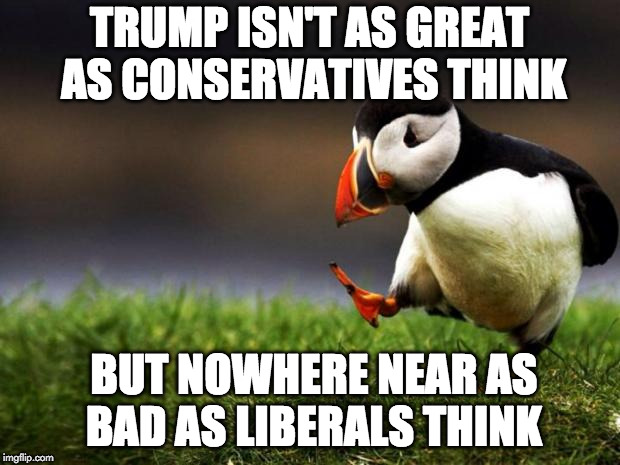 Still better than Hillary though. | TRUMP ISN'T AS GREAT AS CONSERVATIVES THINK; BUT NOWHERE NEAR AS BAD AS LIBERALS THINK | image tagged in memes,unpopular opinion puffin,trump,conservatives,liberal,hillary clinton | made w/ Imgflip meme maker