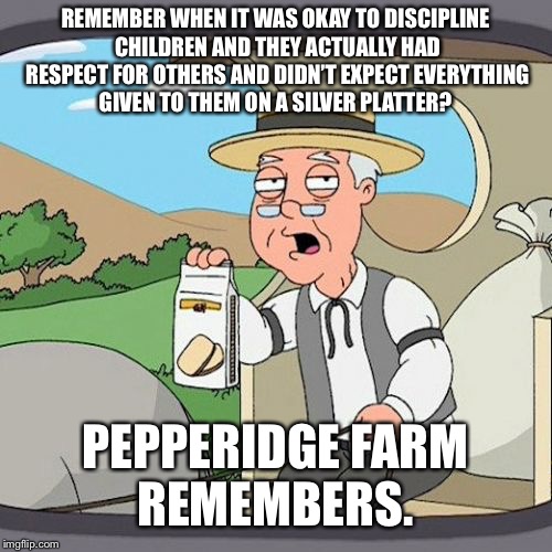 Pepperidge Farm Remembers Meme | REMEMBER WHEN IT WAS OKAY TO DISCIPLINE CHILDREN AND THEY ACTUALLY HAD RESPECT FOR OTHERS AND DIDN’T EXPECT EVERYTHING GIVEN TO THEM ON A SILVER PLATTER? PEPPERIDGE FARM REMEMBERS. | image tagged in memes,pepperidge farm remembers | made w/ Imgflip meme maker