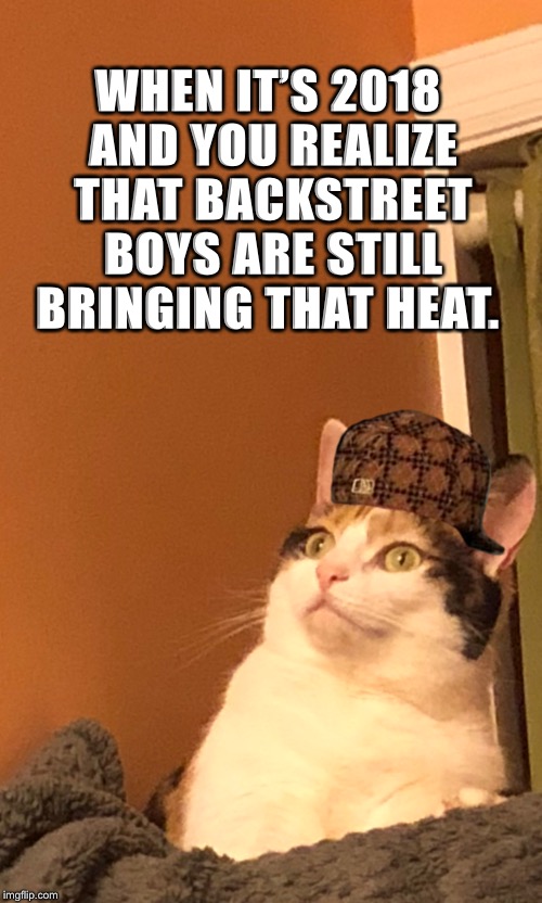 Backstreet’s Cat...Alright! | WHEN IT’S 2018 AND YOU REALIZE THAT BACKSTREET BOYS ARE STILL BRINGING THAT HEAT. | image tagged in backstreet boys,fire,heat,2018 | made w/ Imgflip meme maker