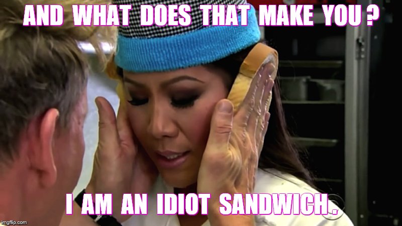 AND  WHAT  DOES  THAT  MAKE  YOU ? I  AM  AN  IDIOT  SANDWICH . | made w/ Imgflip meme maker