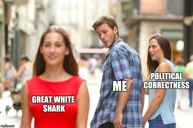 ME POLITICAL CORRECTNESS GREAT WHITE SHARK | image tagged in memes,distracted boyfriend | made w/ Imgflip meme maker