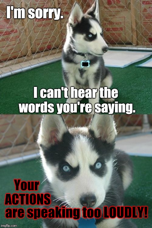 A redo of one of my earliest memes. | I'm sorry. I can't hear the words you're saying. Your ACTIONS; are speaking too LOUDLY! | image tagged in memes,insanity puppy,truth,actions speak louder than words | made w/ Imgflip meme maker