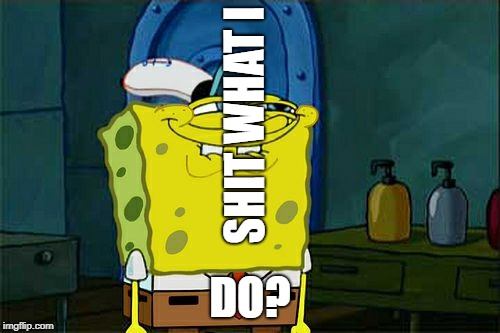 Don't You Squidward | SHIT WHAT I; DO? | image tagged in memes,dont you squidward | made w/ Imgflip meme maker