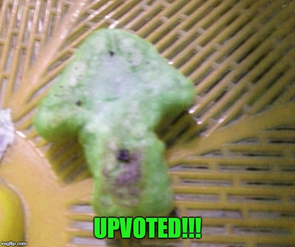 Upvote cookie | UPVOTED!!! | image tagged in upvote cookie | made w/ Imgflip meme maker