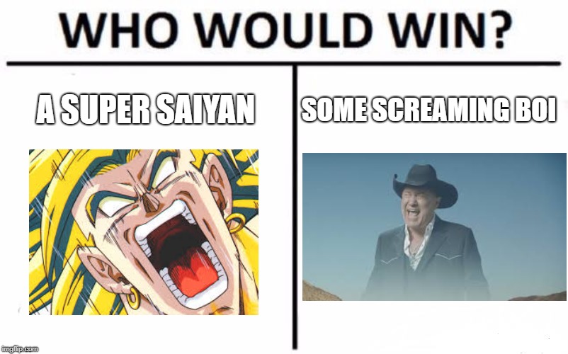 Who Would Win? Meme | A SUPER SAIYAN; SOME SCREAMING BOI | image tagged in memes,who would win | made w/ Imgflip meme maker