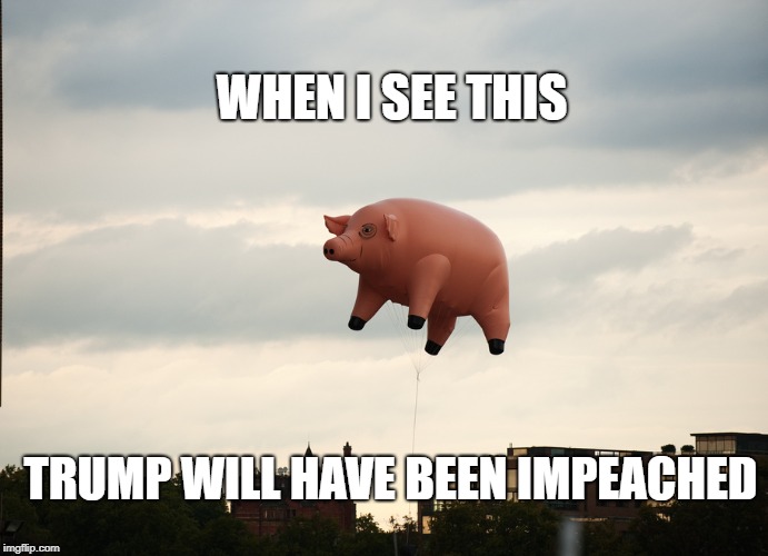 pigs fly | WHEN I SEE THIS; TRUMP WILL HAVE BEEN IMPEACHED | image tagged in donald trump | made w/ Imgflip meme maker