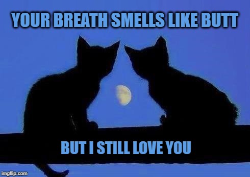 YOUR BREATH SMELLS LIKE BUTT; BUT I STILL LOVE YOU | image tagged in butt,bad breath,cats,smelly,i love you,what if i told you | made w/ Imgflip meme maker