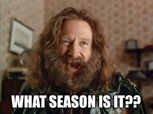 what year is it | WHAT SEASON IS IT?? | image tagged in what year is it | made w/ Imgflip meme maker