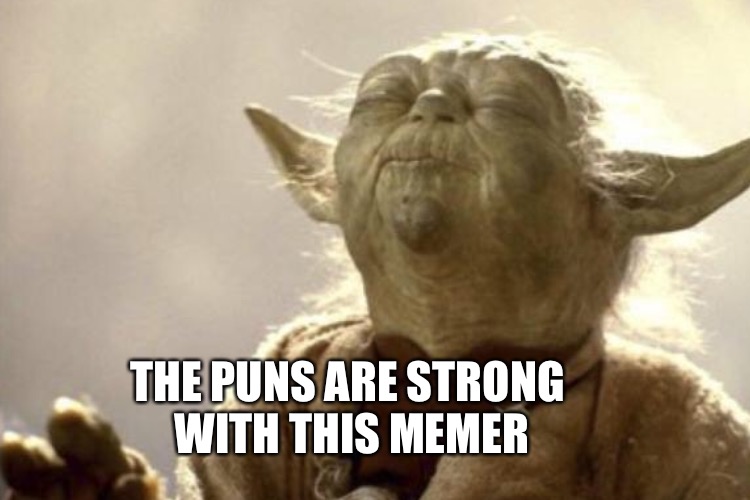 THE PUNS ARE STRONG WITH THIS MEMER | made w/ Imgflip meme maker