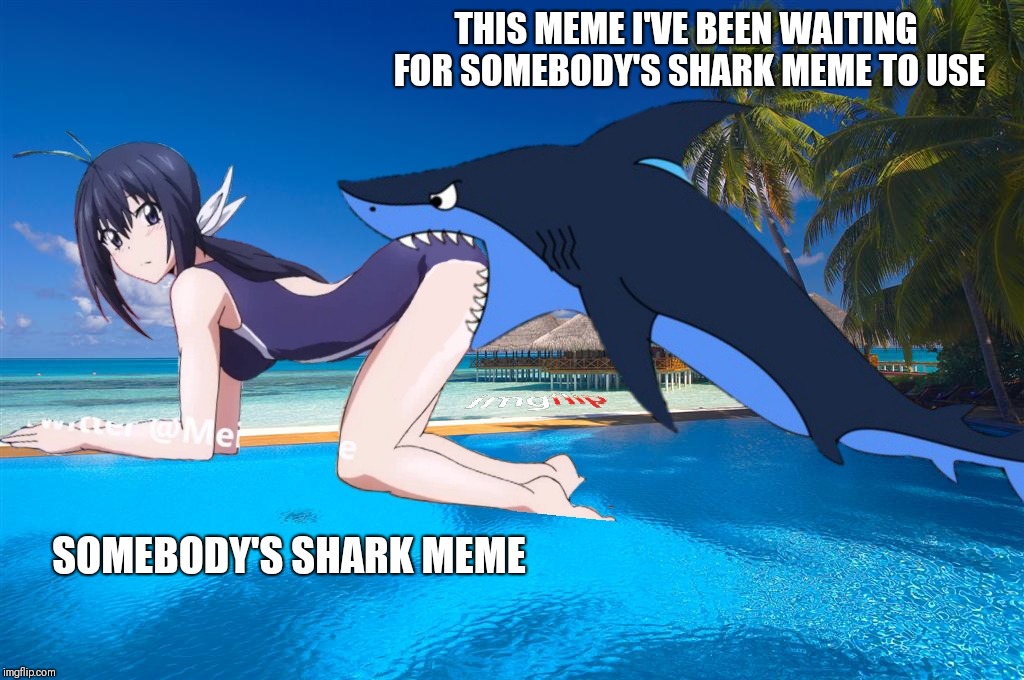 SOMEBODY'S SHARK MEME THIS MEME I'VE BEEN WAITING FOR SOMEBODY'S SHARK MEME TO USE | made w/ Imgflip meme maker