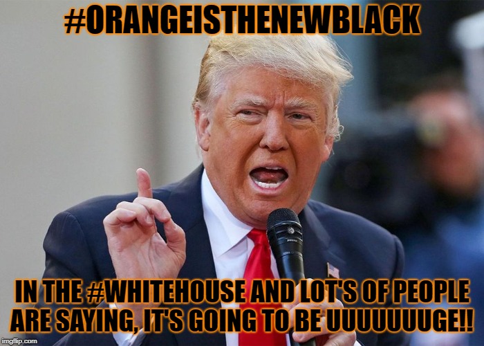 #ORANGEISTHENEWBLACK; IN THE #WHITEHOUSE AND LOT'S OF PEOPLE ARE SAYING, IT'S GOING TO BE UUUUUUUGE!! | image tagged in orange is the new black in the white house | made w/ Imgflip meme maker