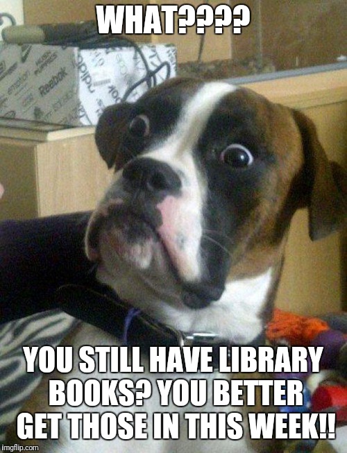 Blankie the Shocked Dog | WHAT???? YOU STILL HAVE LIBRARY BOOKS? YOU BETTER GET THOSE IN THIS WEEK!! | image tagged in blankie the shocked dog | made w/ Imgflip meme maker