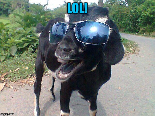LOL! | made w/ Imgflip meme maker