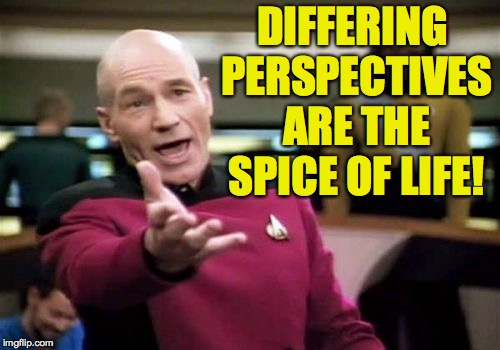 Picard Wtf Meme | DIFFERING PERSPECTIVES ARE THE SPICE OF LIFE! | image tagged in memes,picard wtf | made w/ Imgflip meme maker