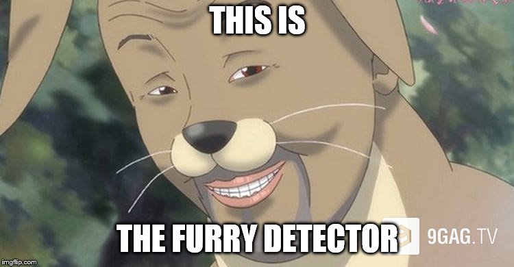 FURRY DETECTOR
 | THIS IS; THE FURRY DETECTOR | image tagged in weird anime hentai furry | made w/ Imgflip meme maker