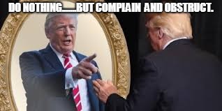 Trump talking to himself. | DO NOTHING.......BUT COMPLAIN  AND OBSTRUCT. | image tagged in trump,mirror | made w/ Imgflip meme maker