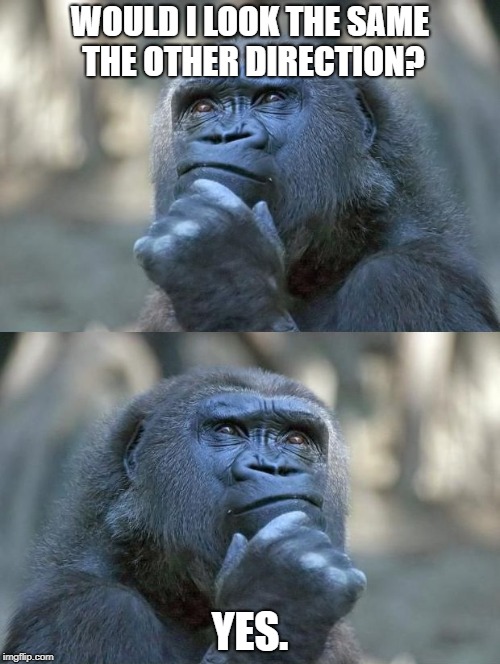 pondering | WOULD I LOOK THE SAME THE OTHER DIRECTION? YES. | image tagged in pondering | made w/ Imgflip meme maker