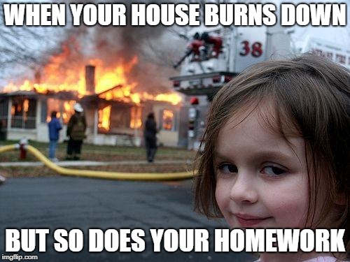 Disaster Girl | WHEN YOUR HOUSE BURNS DOWN; BUT SO DOES YOUR HOMEWORK | image tagged in memes,disaster girl,meme | made w/ Imgflip meme maker