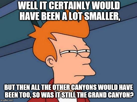 Futurama Fry Meme | WELL IT CERTAINLY WOULD HAVE BEEN A LOT SMALLER, BUT THEN ALL THE OTHER CANYONS WOULD HAVE BEEN TOO, SO WAS IT STILL THE GRAND CANYON? | image tagged in memes,futurama fry | made w/ Imgflip meme maker