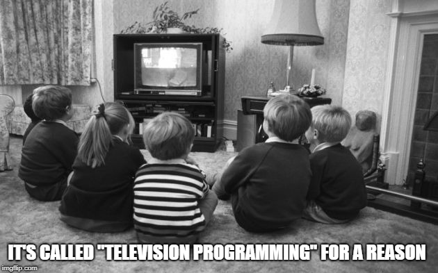 IT'S CALLED "TELEVISION PROGRAMMING" FOR A REASON | made w/ Imgflip meme maker