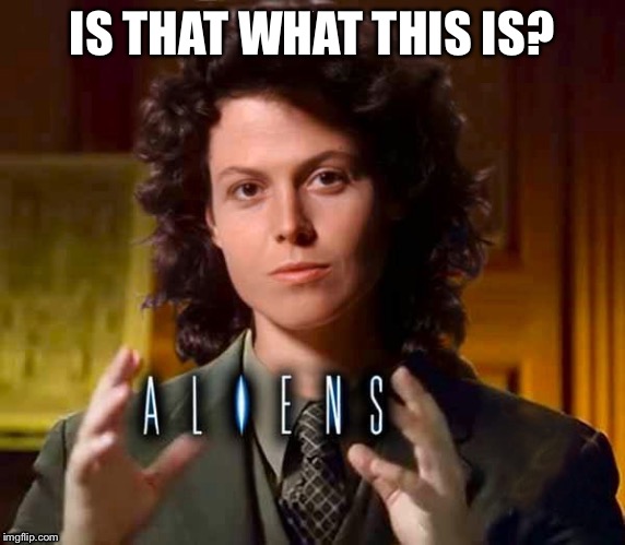 Ripley’s Believe It or Not | IS THAT WHAT THIS IS? | image tagged in alieniths,tv touchdown,s that what this is i thought reruns were cool,nener memer | made w/ Imgflip meme maker