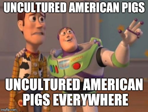 X, X Everywhere Meme | UNCULTURED AMERICAN PIGS UNCULTURED AMERICAN PIGS EVERYWHERE | image tagged in memes,x x everywhere | made w/ Imgflip meme maker