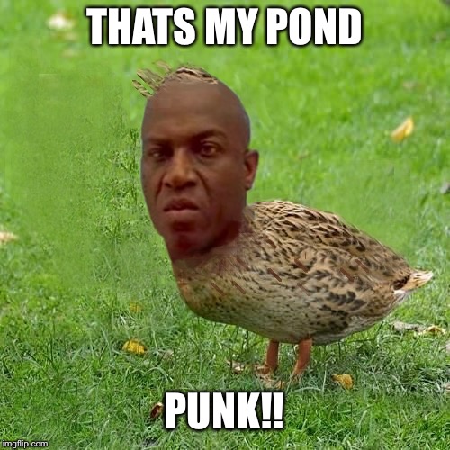 Deebo Duck - coolbullshit | THATS MY POND; PUNK!! | image tagged in deebo duck - coolbullshit | made w/ Imgflip meme maker