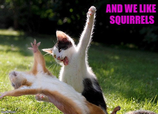AND WE LIKE SQUIRRELS | made w/ Imgflip meme maker