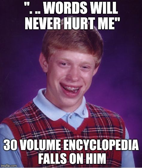 Bad Luck Brian Meme | ". .. WORDS WILL NEVER HURT ME" 30 VOLUME ENCYCLOPEDIA FALLS ON HIM | image tagged in memes,bad luck brian | made w/ Imgflip meme maker